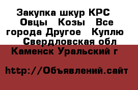 Закупка шкур КРС , Овцы , Козы - Все города Другое » Куплю   . Свердловская обл.,Каменск-Уральский г.